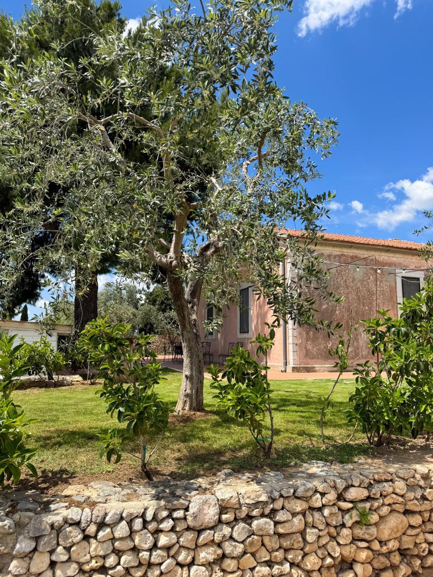 Signor Cesare Agrobistrot B&B San Giovanni Rotondo Buitenkant foto