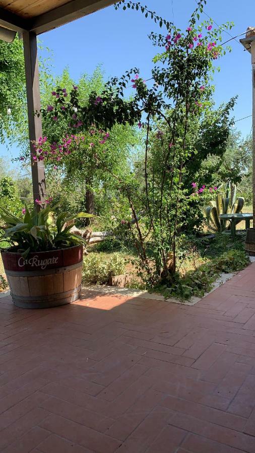 Signor Cesare Agrobistrot B&B San Giovanni Rotondo Buitenkant foto